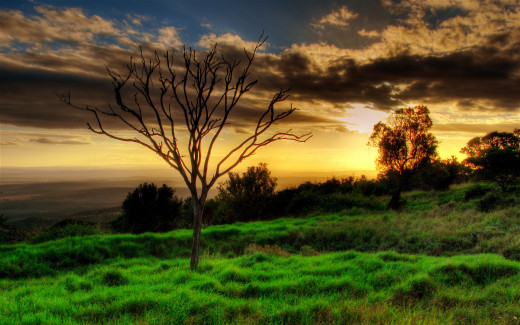485810 (a): :2560x1600